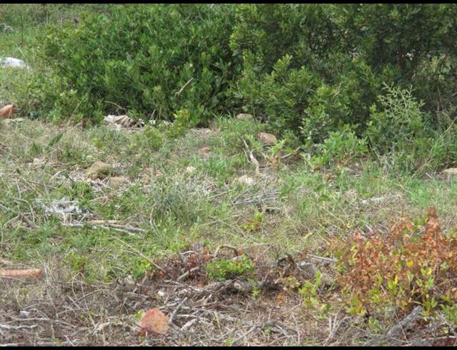 LAND FOR SALE IN MOSSEL BAY EXT 26